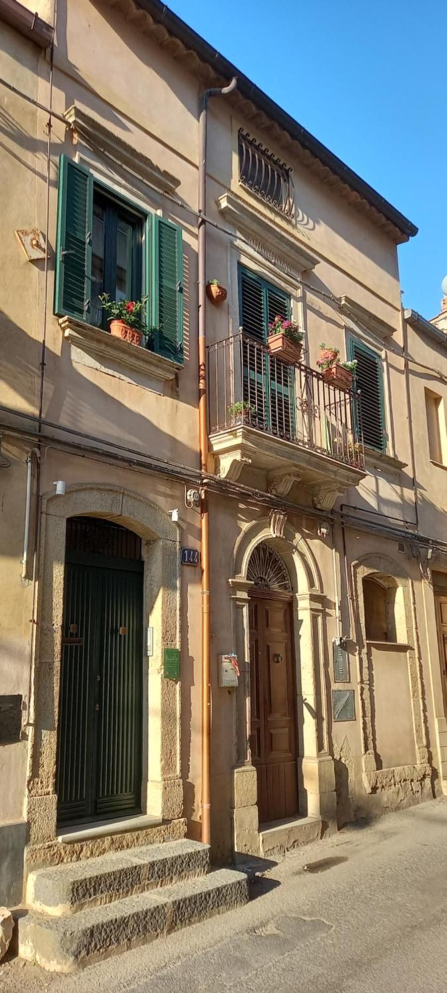 Basilico Caltagirone